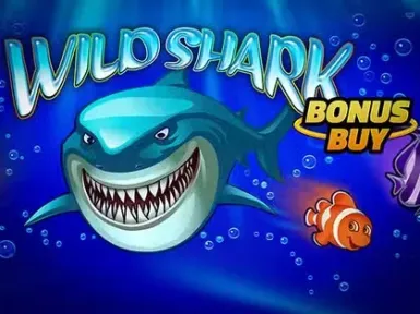 Holyluck Casino screenshot
